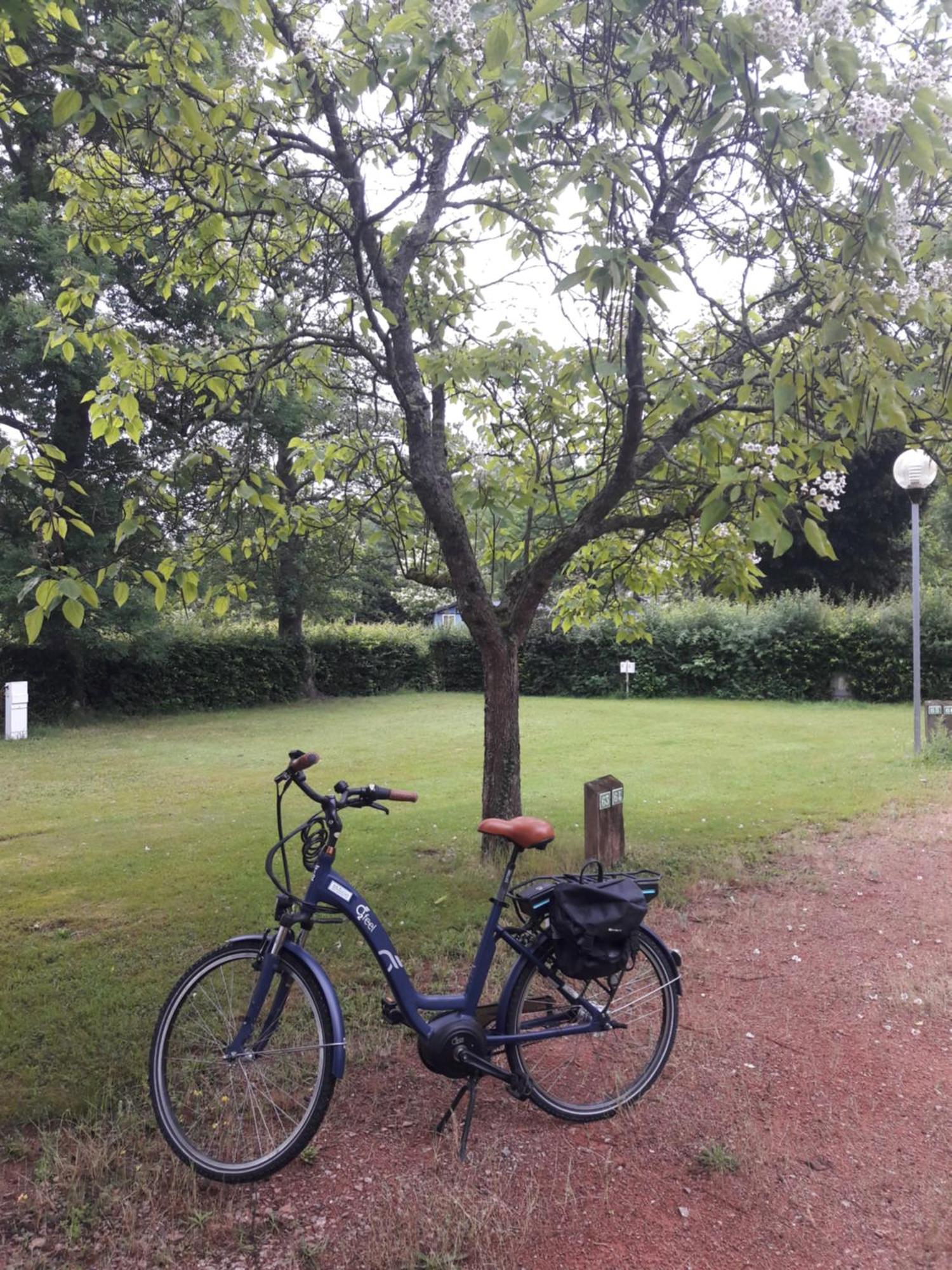 Camping Les Feuilles Chauffailles Exterior foto